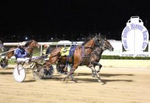 Cup dream still alive