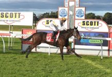 City winners keep coming