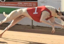 A record-breaker in his own right