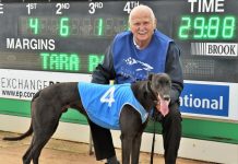 Keenly contested memorial heats set the scene for a terrific final