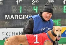 The journey continues for Mick’s Kimmy