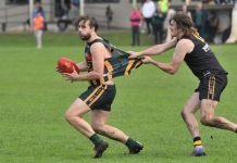 Mozzies pick up the pace