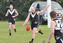 Tigers find trouble at Magpies nest