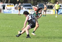 Mozzies claim thrilling win