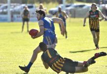 Eagles overcome Mozzies