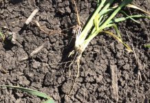 Warmer days expected for winter