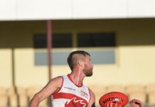 Roosters keep running