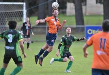 Strong wins from big three