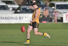 Tigers start favourite on home deck