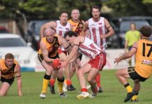 Tigers set for more success