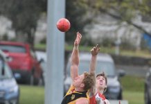 Demons attack Tigers