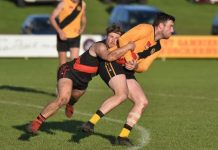North shakes off determined Dogs