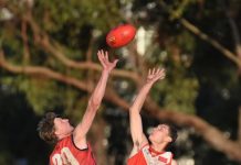 South left wanting against powerhouse Roos