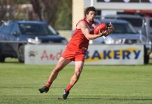 Demons hit the road in search of win