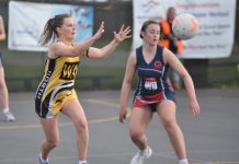 Imposing Tigers host Cats