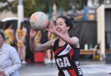 Saints host Bulldogs