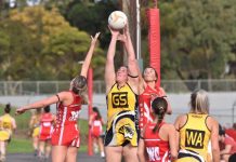 Demons and Tigers lock horns