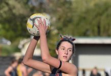 Dogs host in-form Roos