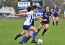 Apollo sends a statement