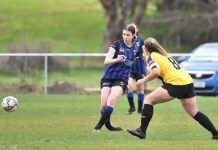 Apollo the team to beat