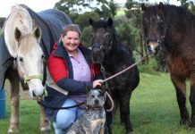 Education program looks to grow