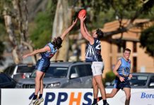 Knights prevail in annual duel