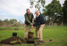 Top rotarian visits Mount Gambier