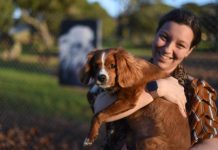 Public art shows paw-fect pooches