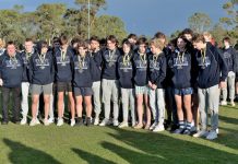 Young stars stand tall