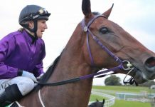 Stepped up to a new level