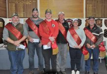 Dyson cleans up state honours