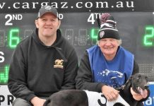 Gypsy Chick impresses in first 400 m win