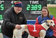 Price spot on at Tara Raceway