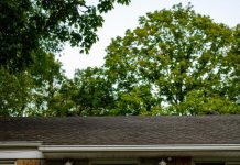 Kingswood looks to return