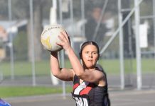 Millicent favoured at home