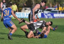 Reigning premiers take points