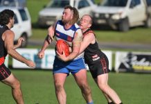 Cats claw their way to victory