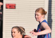 Bulldogs stun Cats at the