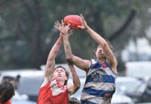 First quarter sets up Cats win