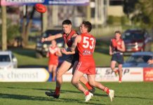 South gears up against depleted Roos