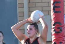 Tigers look to bounce back