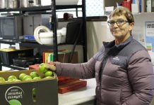 Volunteers helping volunteers