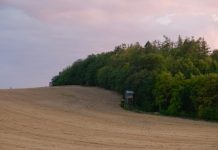 Workshop to highlight shelterbelt benefits