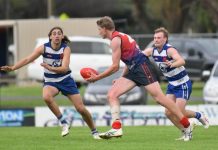 A win on the cards for Roos