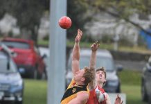 Tigers look to trouble Demons