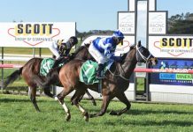 Interest suddenly rekindled