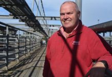 Preparations for foot mouth