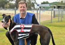 Mary Bridget on track for the Anniversary Cup