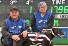 A change of luck for the Gazelle