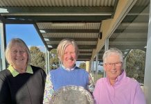 Strong field for Veterans Day